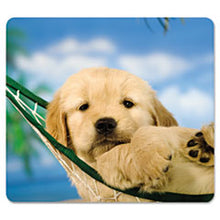 Load image into Gallery viewer, FEL5913901