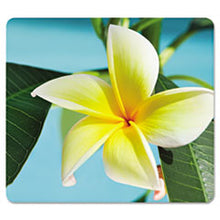 Load image into Gallery viewer, FEL5913801