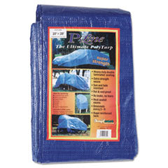 ANR2020TARP