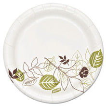 Load image into Gallery viewer, DXESXP6WS