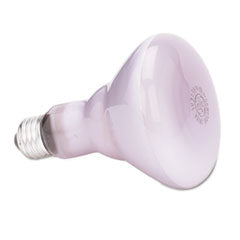 GEL48692