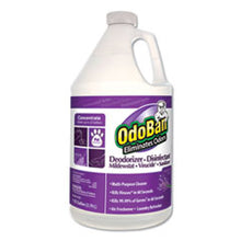 Load image into Gallery viewer, ODO911162G4