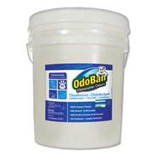 Load image into Gallery viewer, ODO9117625G