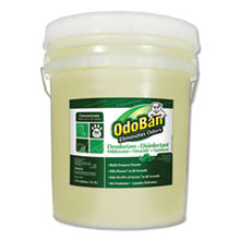 Load image into Gallery viewer, ODO9110625G